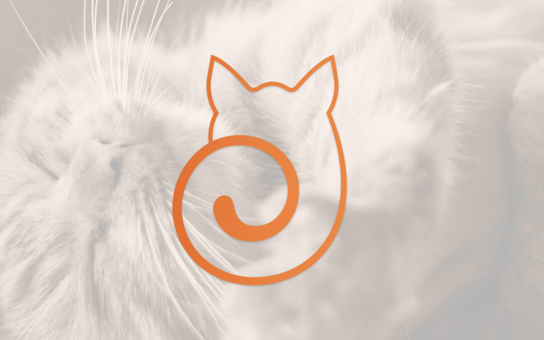 Protocol for welfare assessment of cats